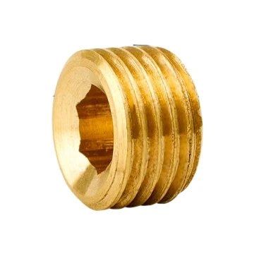 Brass Hex Pipe Plug
