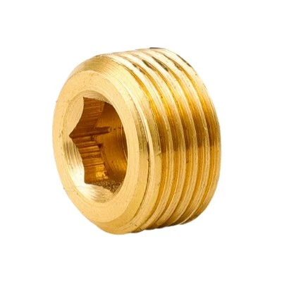 Brass Hex Pipe Plug